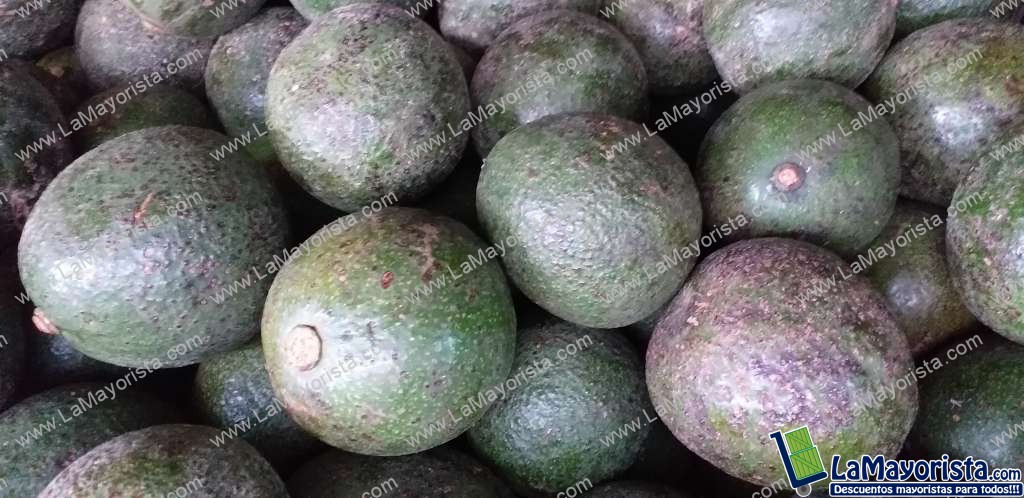 Aguacate reeds