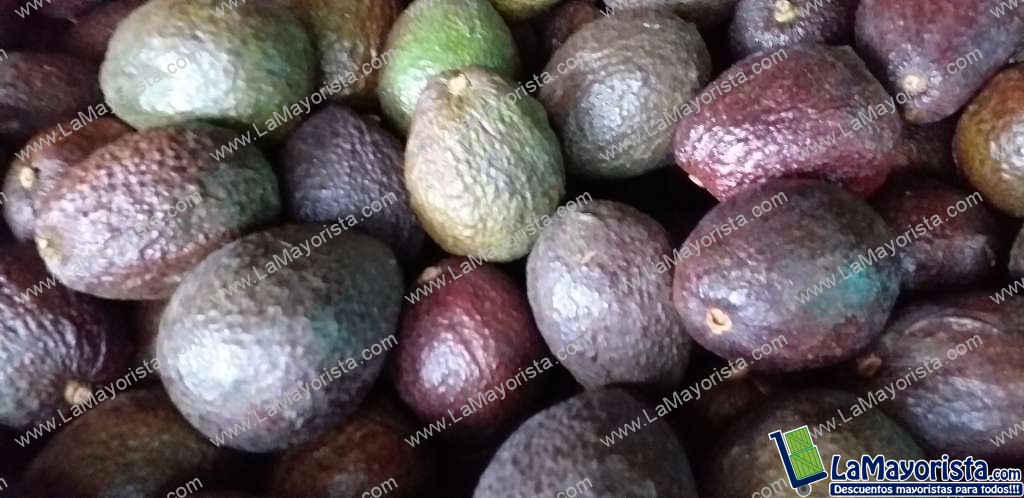 Aguacate hass