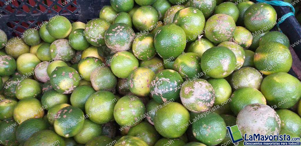Limon mandarino