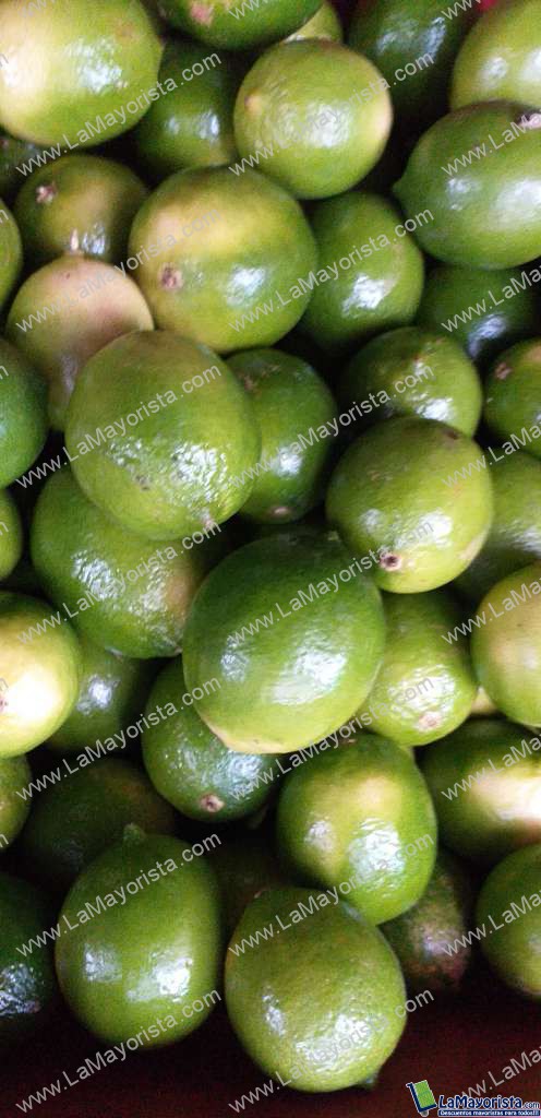 Limon tahiti