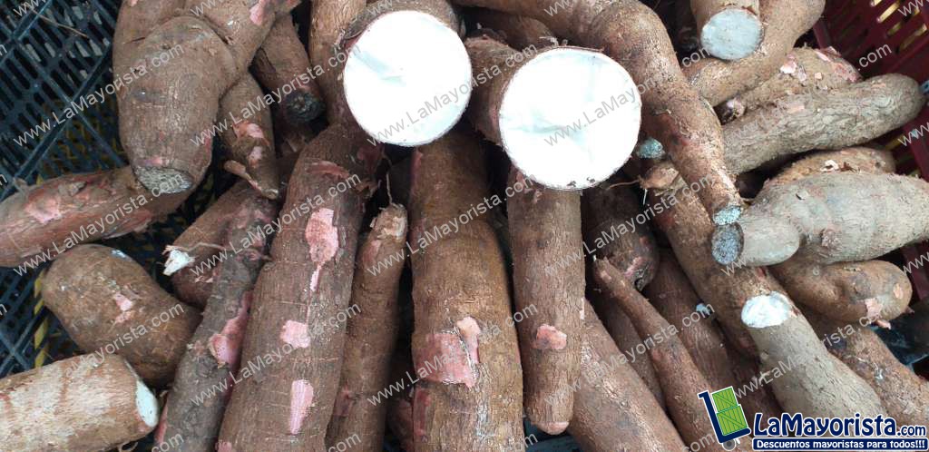 Yuca
