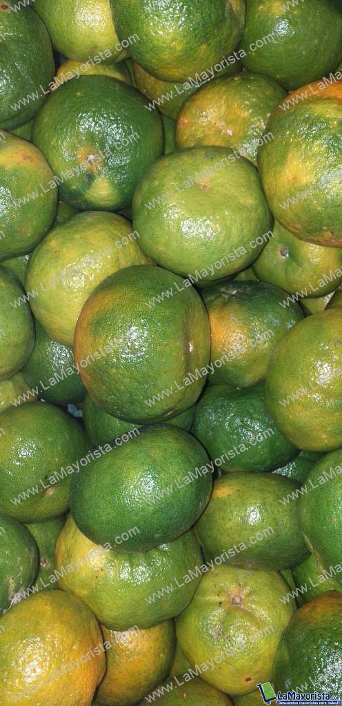 Mandarina oneca