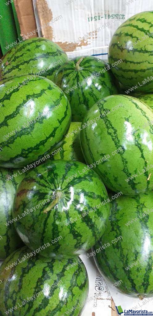 Sandia baby