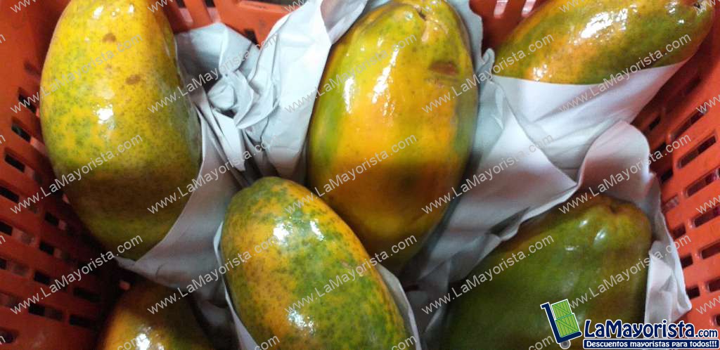 Papaya