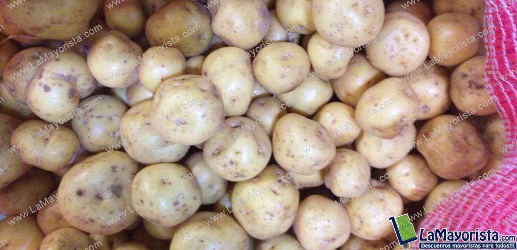 Papa criolla gruesa