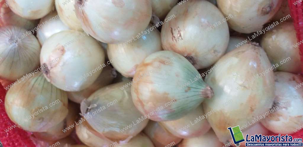 Cebolla huevo blanca