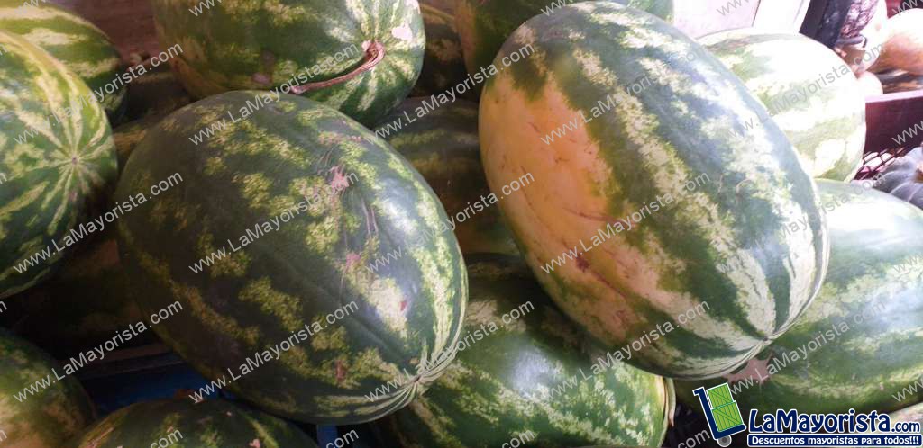 Sandia baby