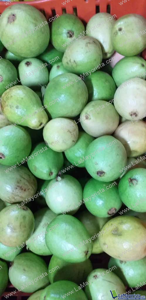 Guayaba pera