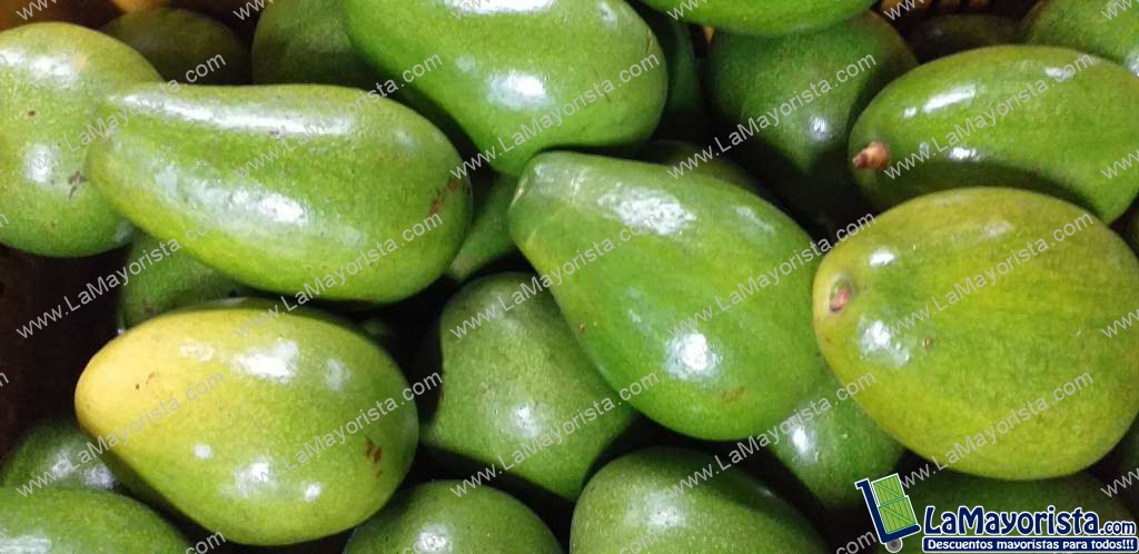 Aguacate papelillo