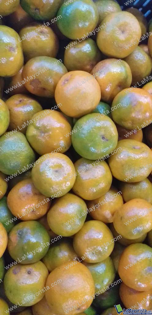 Mandarina oneca