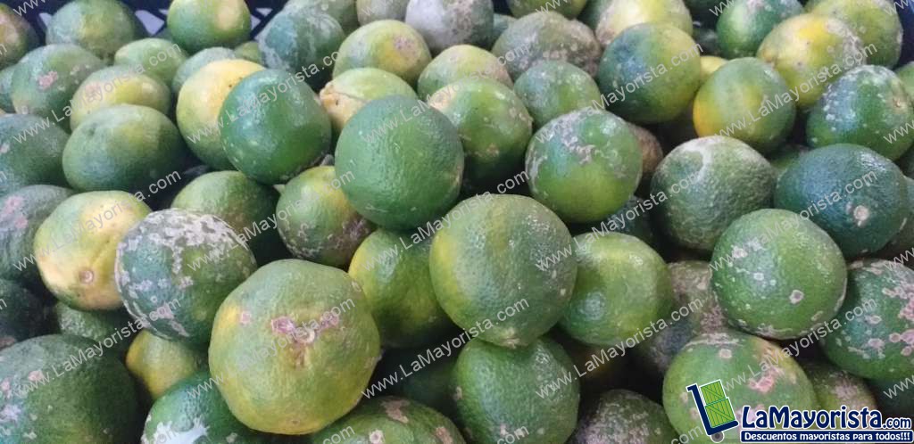 Limon mandarino