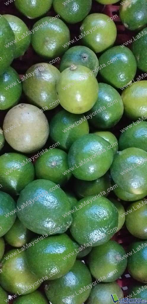 Limon tahiti