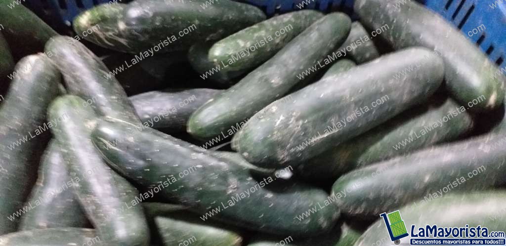 Pepino