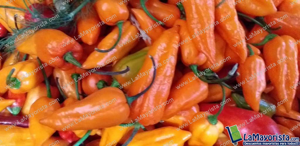 Aji habanero amarilllo