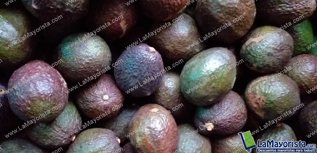 Aguacate hass