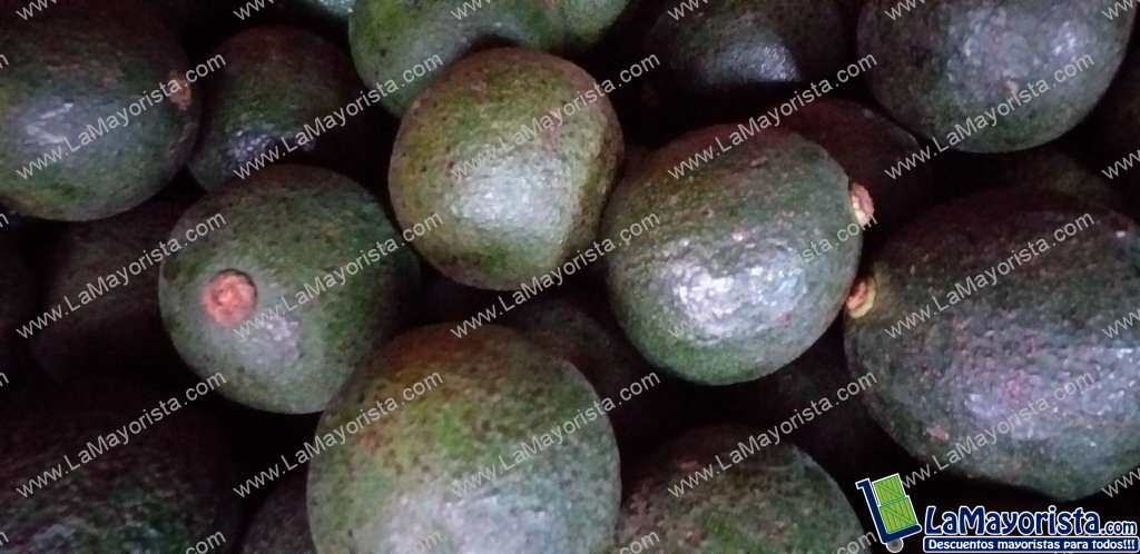 Aguacate reeds