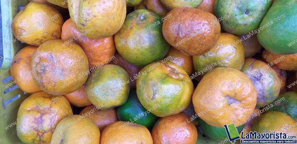 Mandarina oneca
