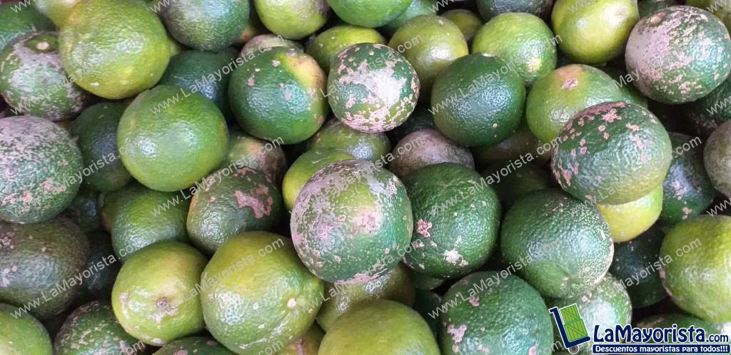 Limon mandarino