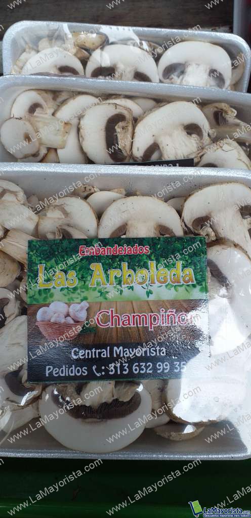 Champiñon