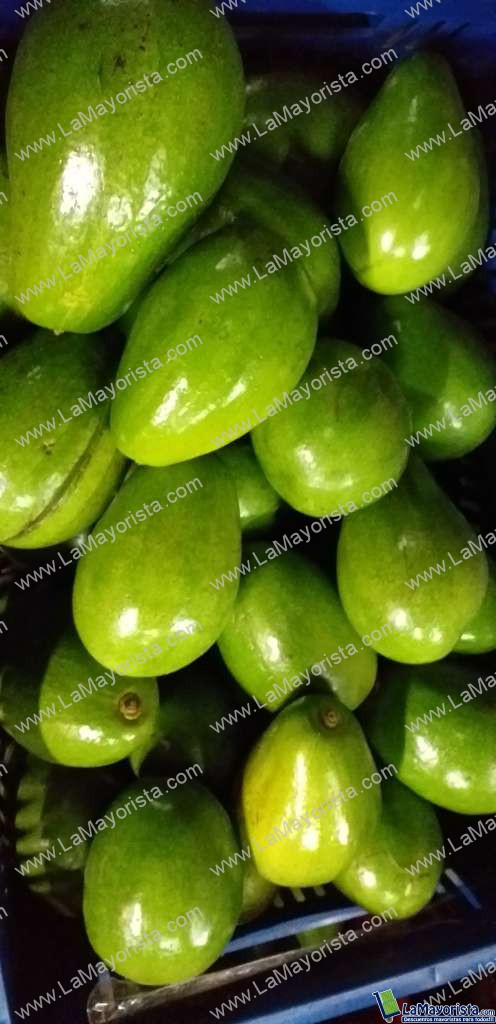 Aguacate papelillo verde