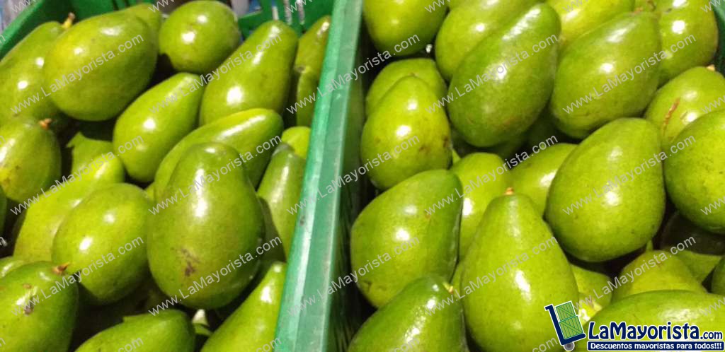 Aguacate papelillo