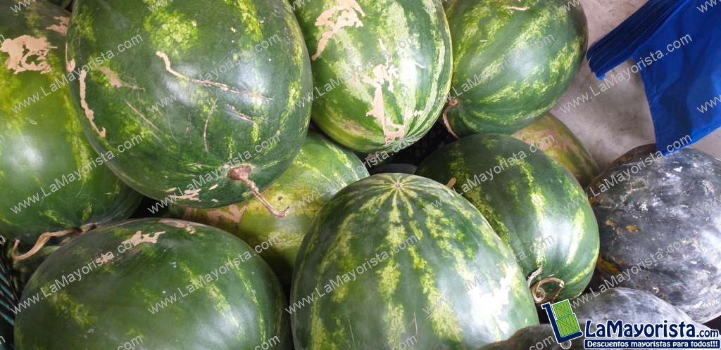 Sandia baby