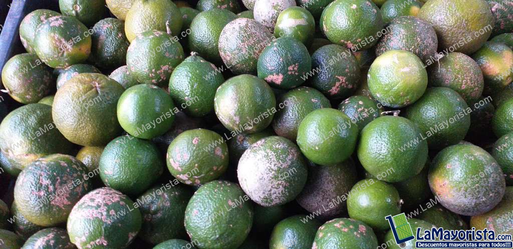 Limon mandarino