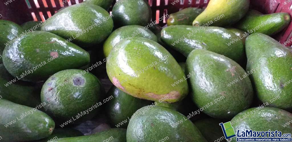 Aguacate santana