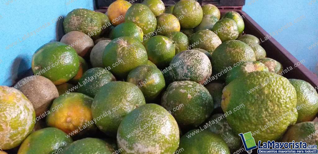 Limon mandarino