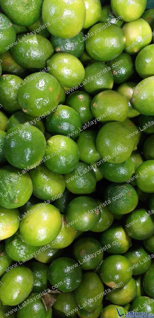 Limon tahiti