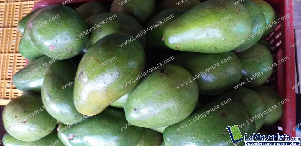 Aguacate papelillo