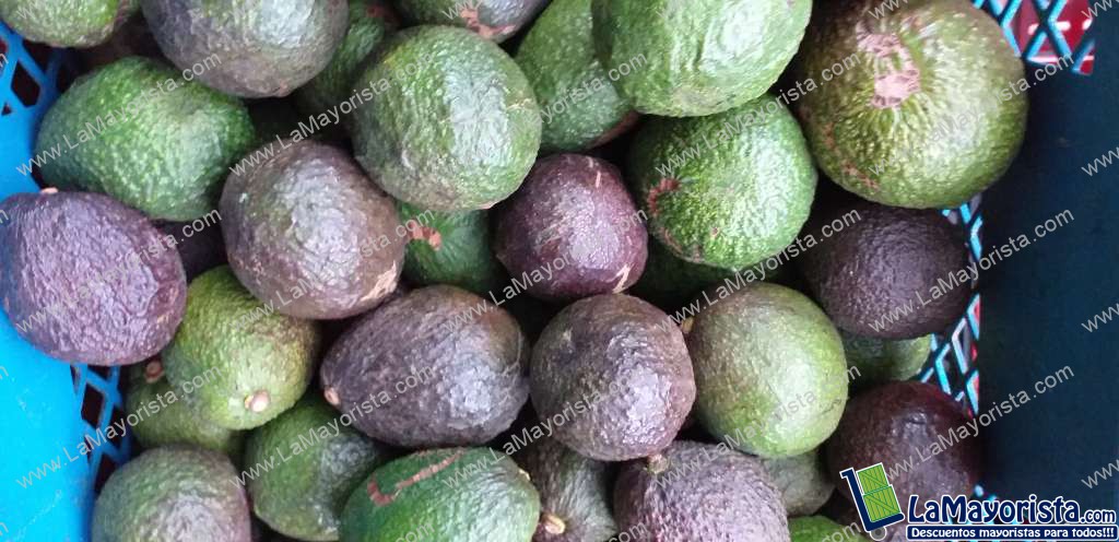 Aguacate hass