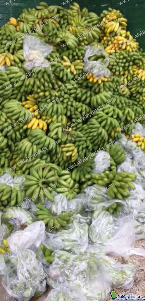 Murrapo