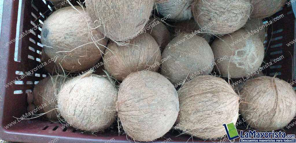 Coco referencia grande