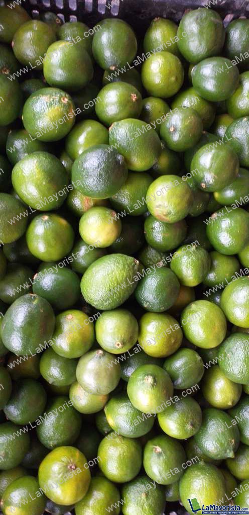 Limon tahiti