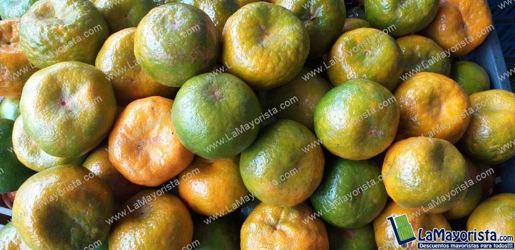 Mandarina oneca