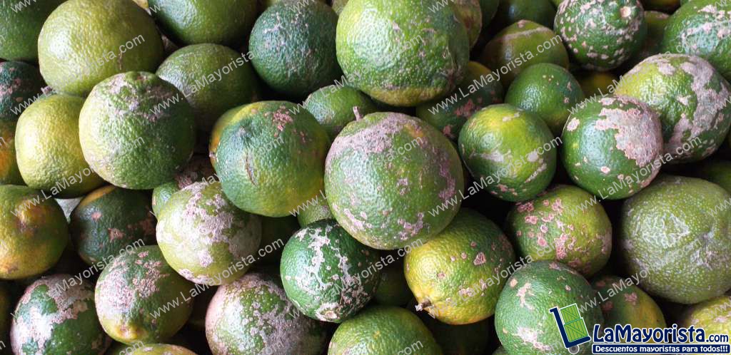 Limon mandarino