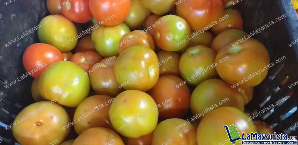 Tomate parejo