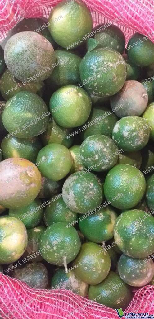 Limon mandarino