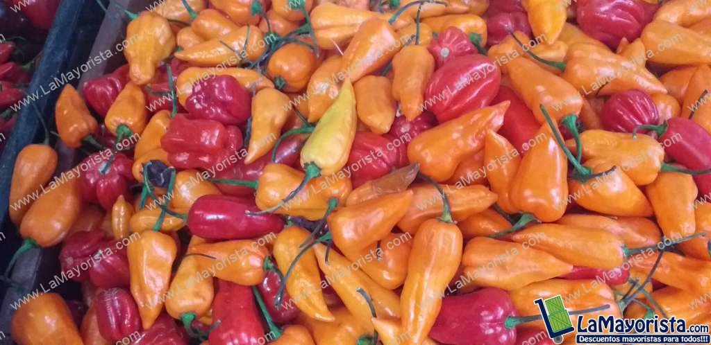 Aji habanero amarillo