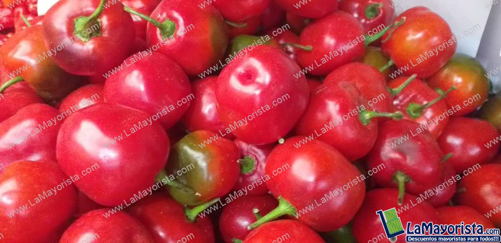 Aji rocoto