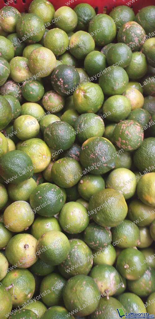 Limon mandarino