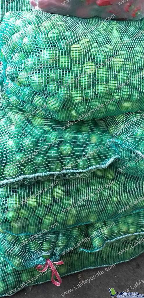 Limon criollo