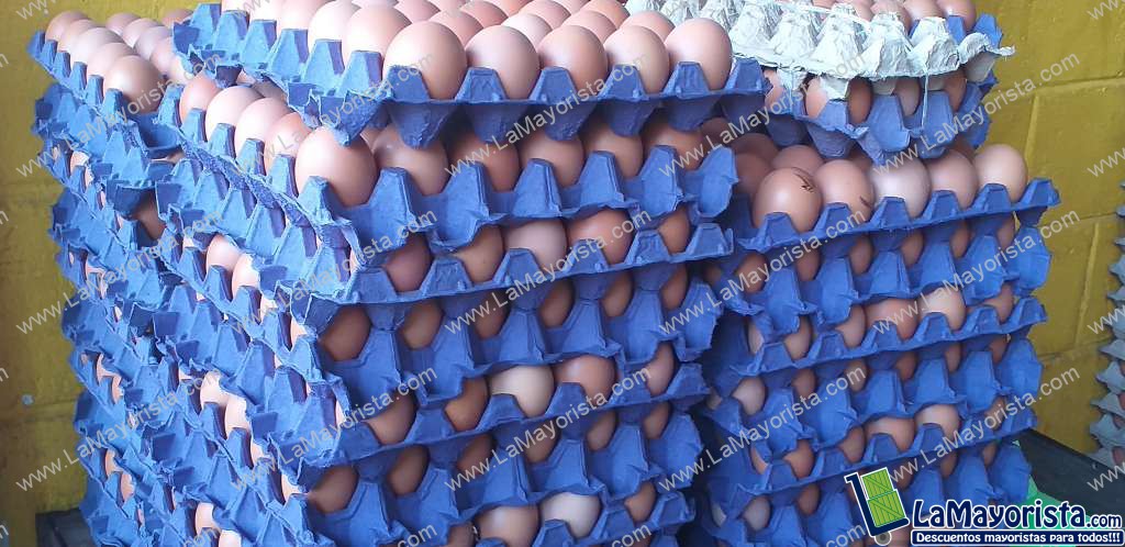 Huevos tipo AA