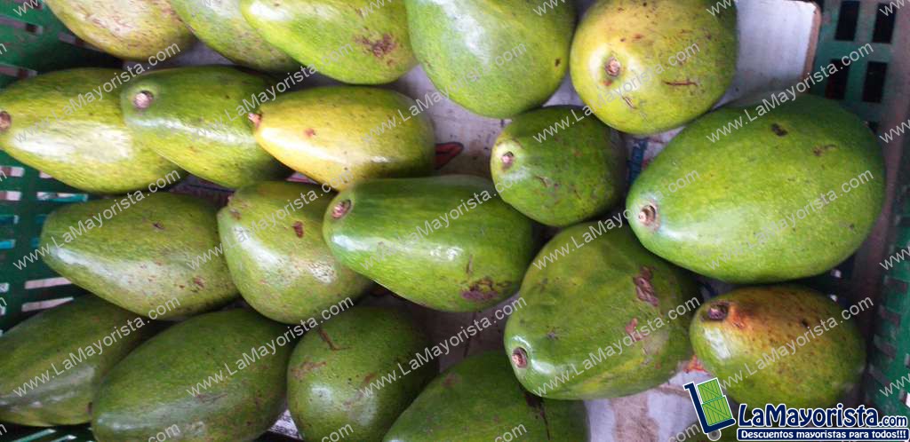 Aguacate papelillo