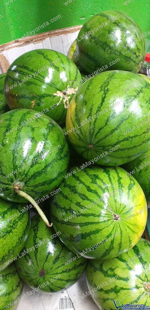 Sandia baby