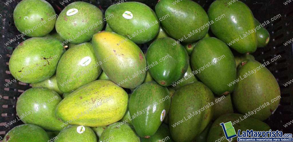 Aguacate papelillo