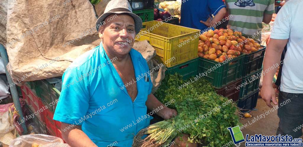 Cilantro manojo