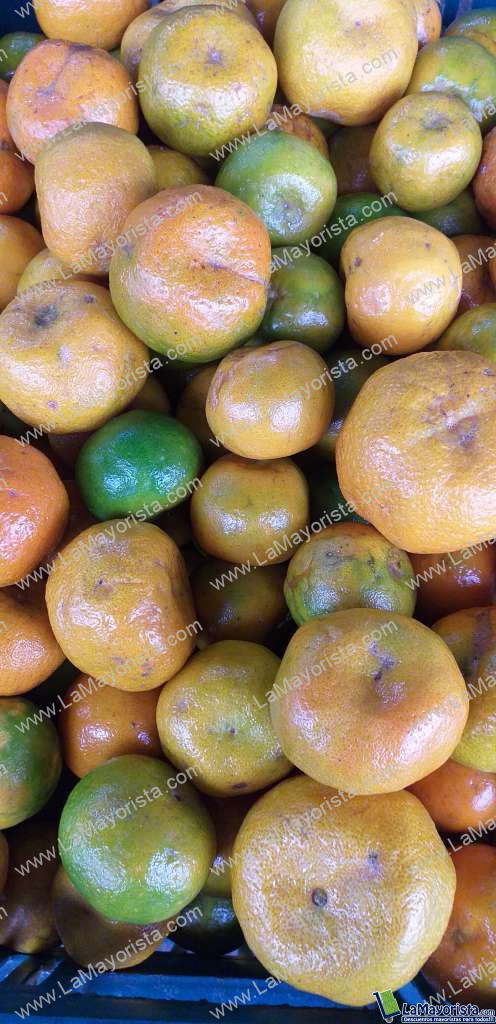Mandarina oneca