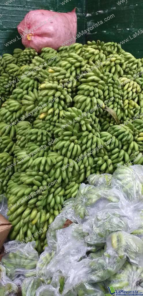Murrapo